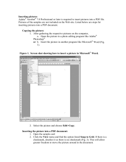 Inserting pictures Adobe Acrobat 7.0 Professional or later is required