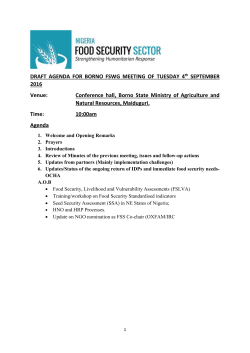 DRAFT AGENDA FOR BORNO FSWG MEETING OF TUESDAY 4 th