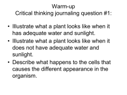 Warm-up Critical thinking journaling question #1