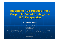 Integrating PCT Practice Into a Corporate Patent Strategy