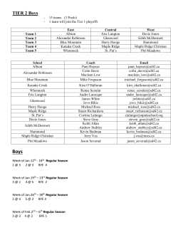 Boys Tier 2 Basketball League 2015 - School District #42