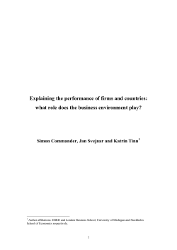 Explaining the performance of firms and countries: what role does