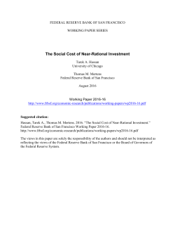 The Social Cost of Near-Rational Investment