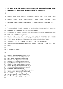 MinION &reg; sequencing and reads filtering