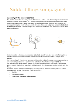 Anatomy in the seated position
