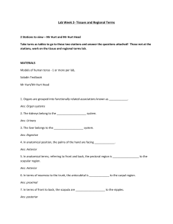 Lab Week 2- Tissues and Regional Terms 2 Stations to view &ndash; Mr