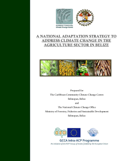 a national adaptation strategy to address climate change in the