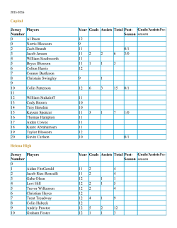 Capital Jersey Number Players Year Goals Assists Total Post