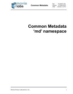 Common Metadata