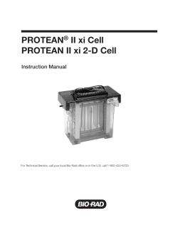 PROTEAN&reg; II xi Cell PROTEAN II xi 2-D Cell - IMBB