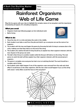 Rainforest Organisms Web of Life Game