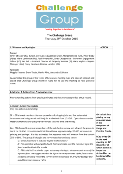 Challenge Group Minutes 29 Oct 2015
