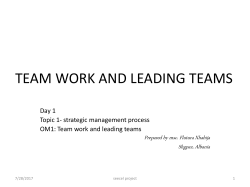 team work and leading teams