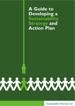 A Guide to Developing a Sustainability Strategy and Action Plan