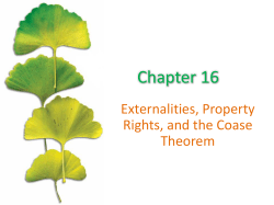 Positional externalities - Higher Ed - McGraw