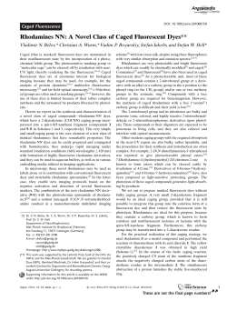 Rhodamines NN: A Novel Class of Caged Fluorescent Dyes**