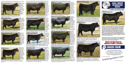 O`Neill Angus Farm
