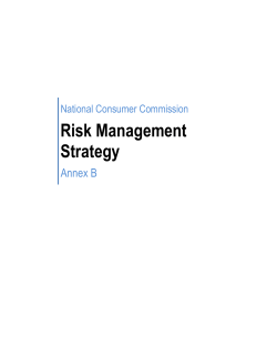Risk Management Strategy