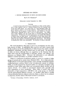 STUDIES ON CHITIN The work described in this paper is part of an