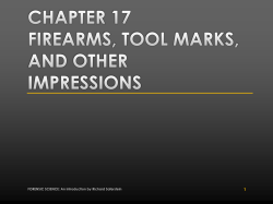 Chapter 17 FIREARMS, TOOL MARKS, AND OTHER IMPRESSIONS
