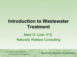 Basis of Design - Naturally Wallace