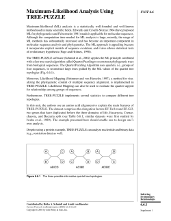 Maximum-Likelihood Analysis Using TREE-PUZZLE