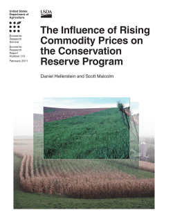 The Influence of Rising Commodity Prices on the - Agri