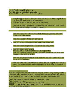 Lice Facts and Pictures