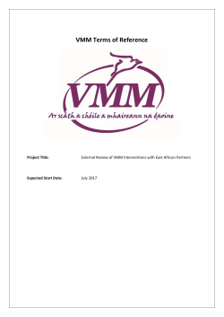 Terms of Reference - VMM International