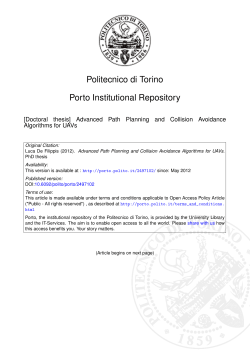 Advanced Path Planning and Collision Avoidance Algorithms for UAVs