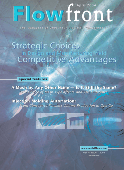 Strategic Choices Competitive Advantages Strategic Choices