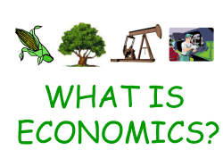 Chapter 12 Vocabulary