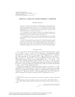 CRITICAL CONES OF CHARACTERISTIC VARIETIES