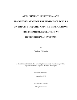 EstradaThesis. - JScholarship