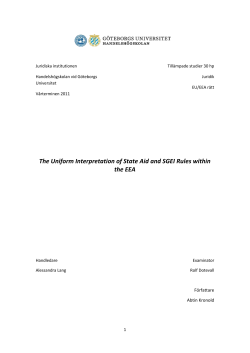 The Uniform Interpretation of State Aid and SGEI Rules within the EEA