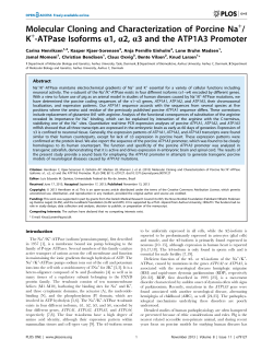 Molecular Cloning and Characterization of Porcine Na / K