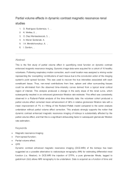 Partial volume effects in dynamic contrast magnetic resonance renal