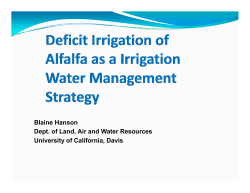 Drought Irrigation Strategies for alfalfa