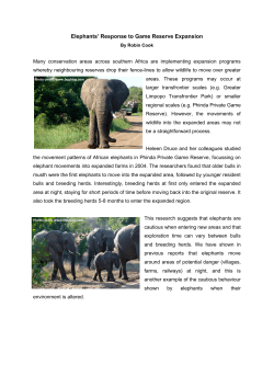 Elephants` Response to Game Reserve Expansion