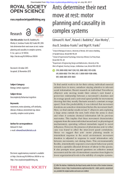 Ants determine their next move at rest: motor planning and causality