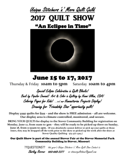 Unique Stitchers `n` More Quilt Show