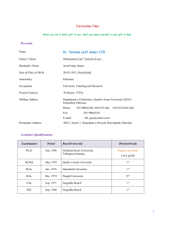 Curriculum Vitae