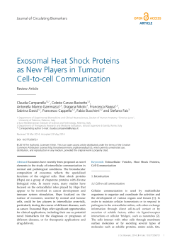 Exosomal Heat Shock Proteins as New Players in Tumour Cell