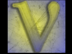 nucleosynthesis &ndash; sensitive to neutrino oscillations!