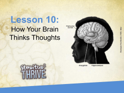 Brain Quiz Show!