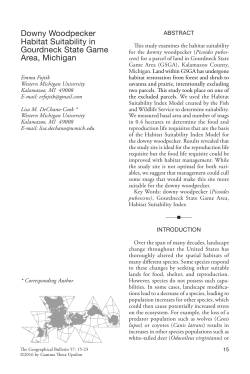 Downy Woodpecker Habitat Suitability in Gourdneck State Game