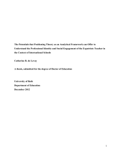 The Potentials that Positioning Theory as an Analytical Framework