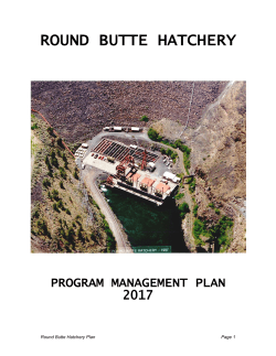Round Butte Hatchery and Satellite