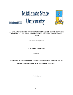 15. What do you think are the causes of corruption at Norton Town