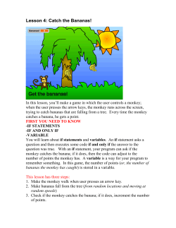 Lesson 4: Catch the Bananas!